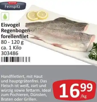 Kastner Eisvogel Regenbogenforellenfilet 80-120 g Angebot