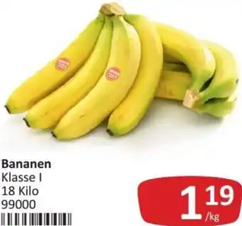 Kastner Bananen 18 Kilo Angebot