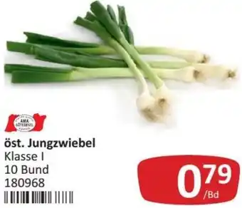 Kastner Jungzwiebel 10 Bund Angebot