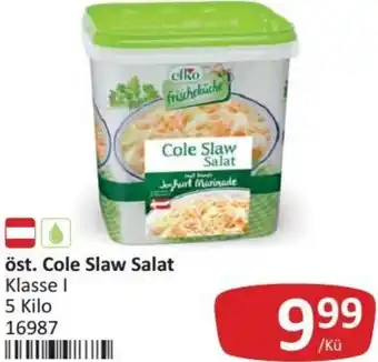 Kastner Cole Slaw Salat 5 Kilo Angebot