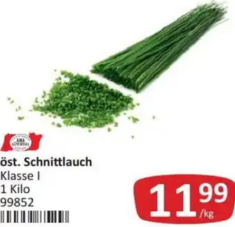 Kastner Schnittlauch 1 Kilo Angebot