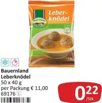 Kastner Bauerland Leberknödel 50 x 40 g Angebot