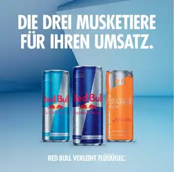 Kastner Red Bull Energy Drink 250 ml Angebot