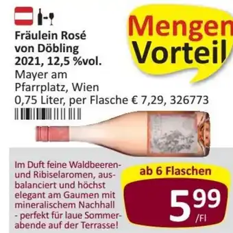 Kastner Fräulein Rosé von Döbling 2021 12,5%vol. 0,75 Liter Angebot