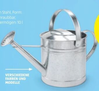 Hofer Gießkanne Angebot