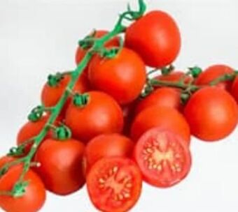 ETSAN Cherrytomaten Angebot