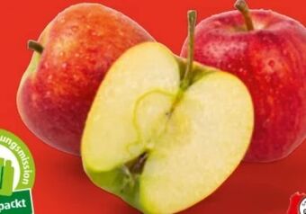 Hofer Äpfel Berggolden Angebot