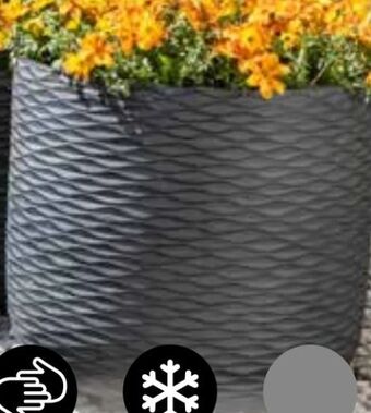 Dehner Pflanztopf London Angebot