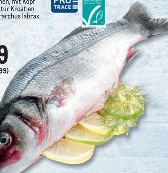Metro Wolfsbarsch Angebot
