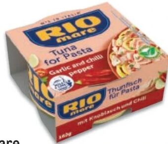 Metro Thunfisch Angebot