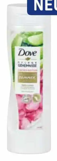 dm Body Lotion Intensiv Angebot