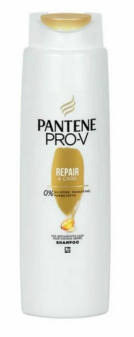 dm Shampoo Angebot