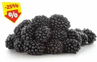 Hofer HOFER MARKTPLATZ Brombeeren, 125 g Angebot