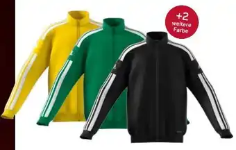 Sport 2000 Herren Trainingsjacke Squadra 21 Angebot