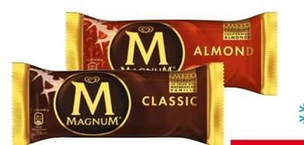 Transgourmet Magnum Angebot