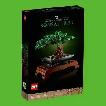 0815 10281 Bonsai Baum V29 Angebot