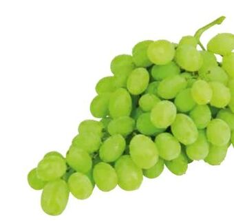 Transgourmet Trauben Angebot