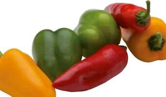 Transgourmet Paprika Mix Angebot