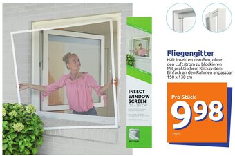 Action Fliegengitter Angebot