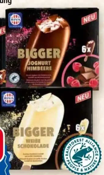 Norma Mini Bigger Angebot