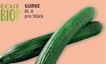 PENNY Gurken Angebot