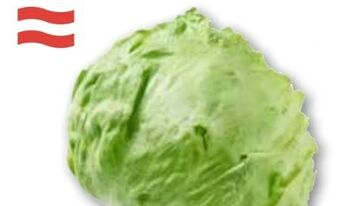 ADEG Eissalat Angebot