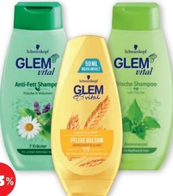 PENNY Glem Vital Shampoo Angebot