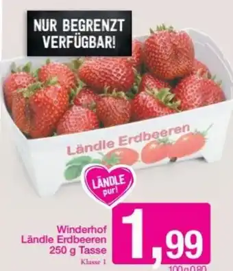 Sutterlüty Winderhof Ländle Erdbeeren 250 g Angebot