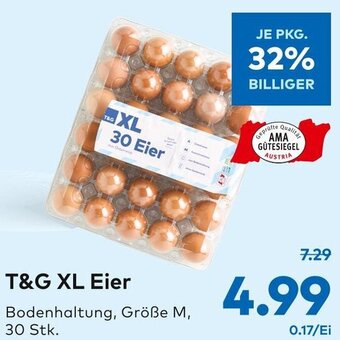 T&G T&G XL Eier Angebot
