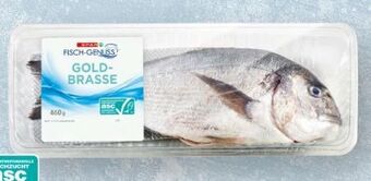 Interspar Goldbrasse Angebot