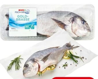 Eurospar Goldbrasse Angebot