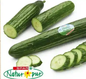 Eurospar Bio-Gurken Angebot