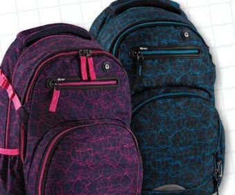 Interspar Rucksack Stinger Angebot