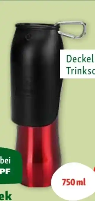 Fressnapf Trinkflasche Angebot