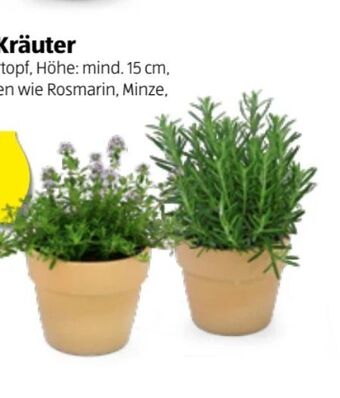 Hofer Italienische Kräuter Angebot