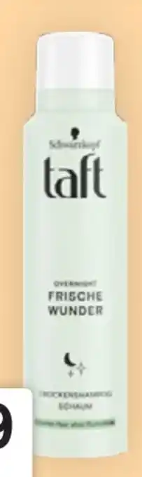 Bipa Taft Overnight Frische Wunder Trockenshampoo Schaum Angebot