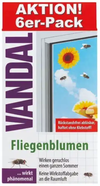 dm Fliegenblumen Fenster-Fliegenfalle Angebot
