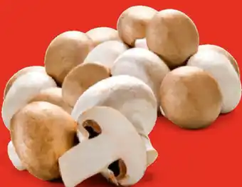 Hofer Bio-Champignons 250 g Angebot