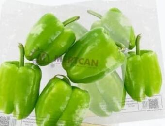 ETSAN Runde Paprika Angebot