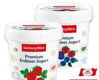 Transgourmet Premium Fruchtjoghurt Angebot