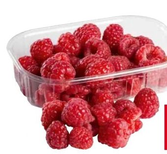 Transgourmet Himbeeren Angebot