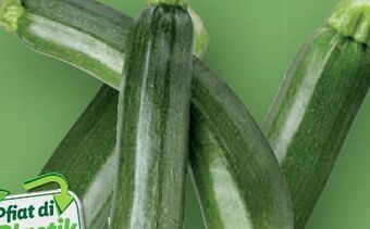 Lidl Bio-Zucchini Angebot