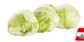Transgourmet Bio Eisbergsalat Angebot