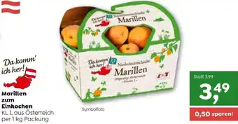 ADEG Marillen zum Einkochen 1 kg Angebot