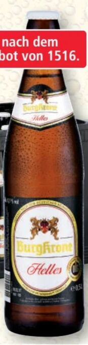 Norma Helles Bier Angebot
