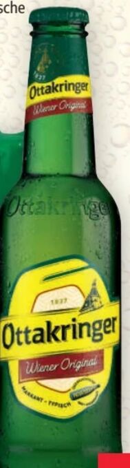 Norma Wiener Original Angebot