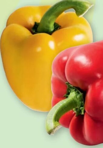 PENNY Paprika Angebot