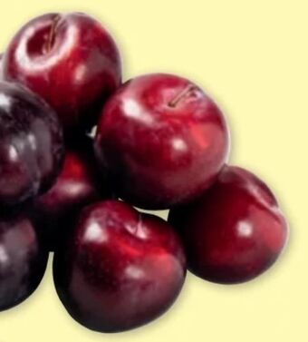 PENNY Pflaumen Angebot