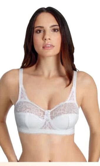 PENNY Damen BHs Angebot