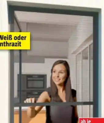 Bauhaus Plissee-Insektenschutzfenster Angebot